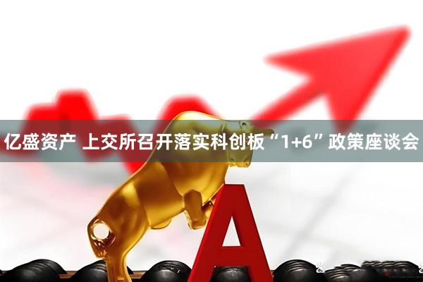 亿盛资产 上交所召开落实科创板“1+6”政策座谈会
