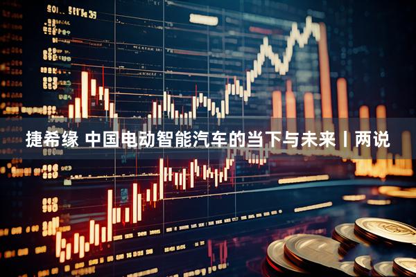捷希缘 中国电动智能汽车的当下与未来丨两说