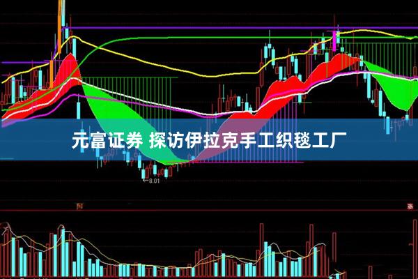 元富证券 探访伊拉克手工织毯工厂
