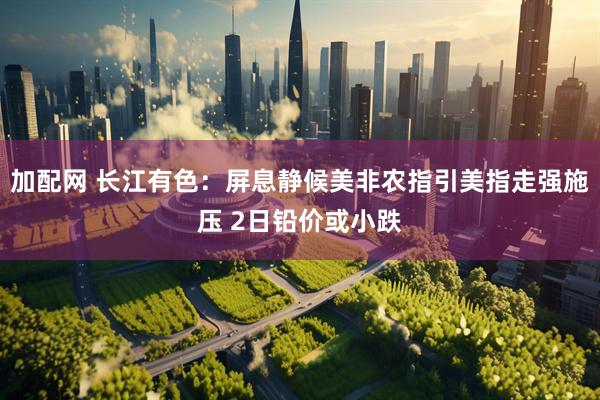 加配网 长江有色：屏息静候美非农指引美指走强施压 2日铅价或小跌